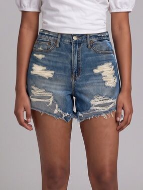 American Eagle 90s boyfriend cut off distressed jean shorts  Denim Spring Summer